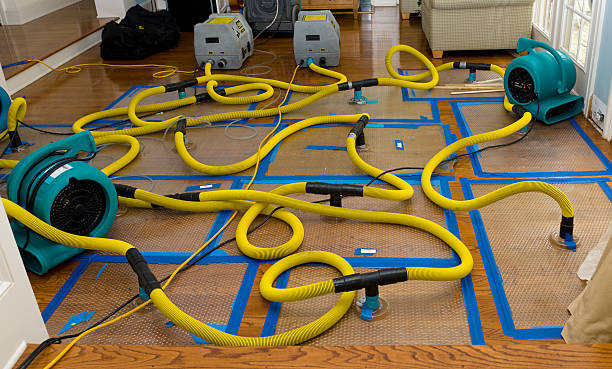 Professional Sewage Cleanup technician working in Creola, OH